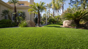 artificial residential lawn