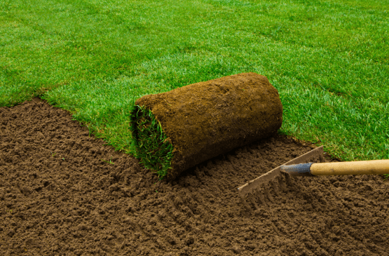 synthetic-turf-1-s synthetic-turf-1-s