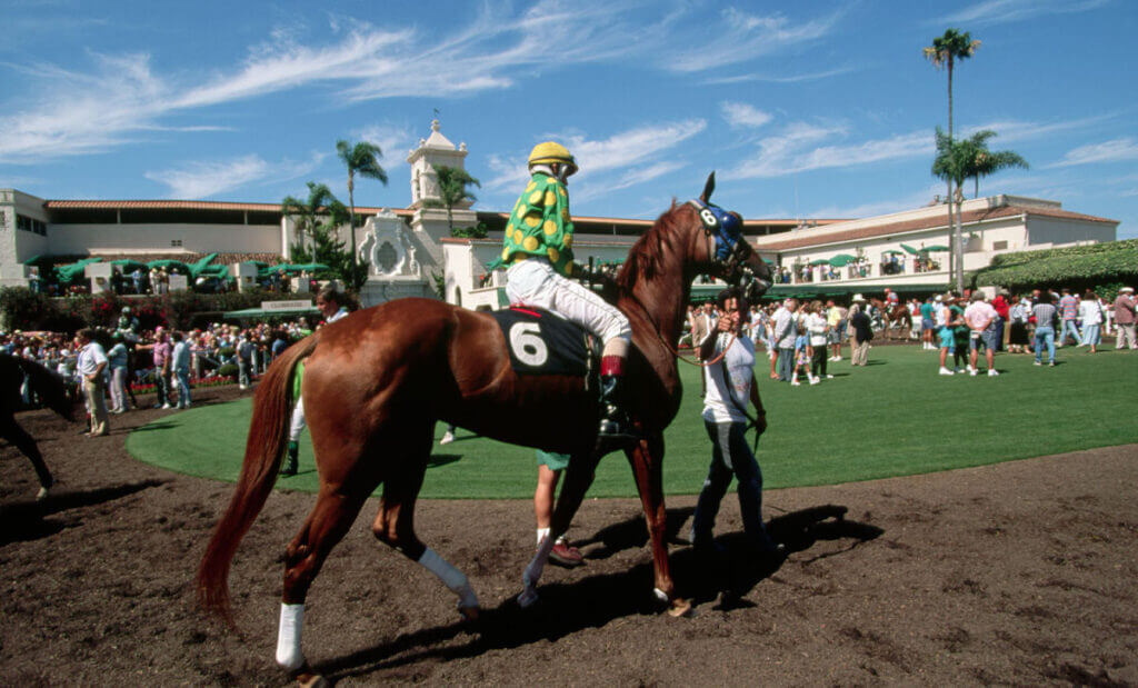 Del Mar Raceway Artificial Grass Project SYNLawn