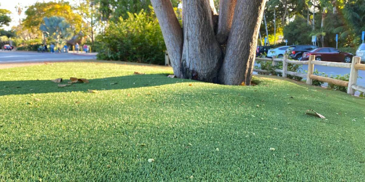 Alternate Ground view of the balboa park parking lot