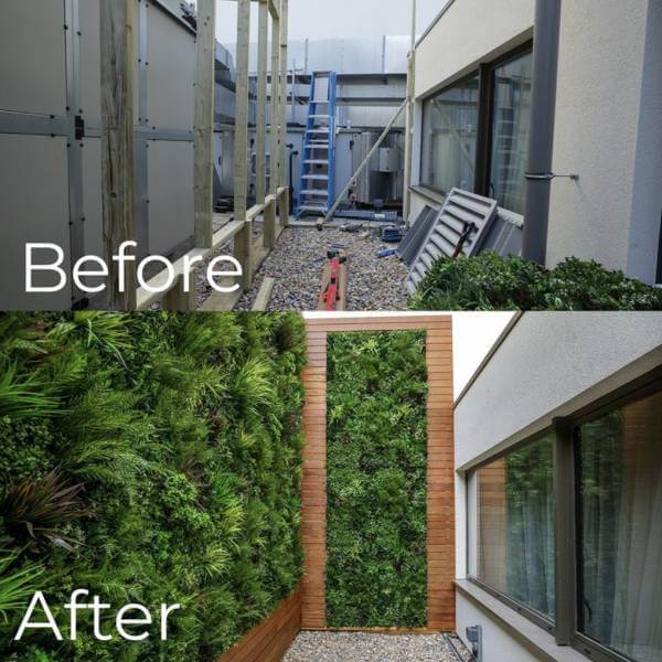 Artificial living walls before and after