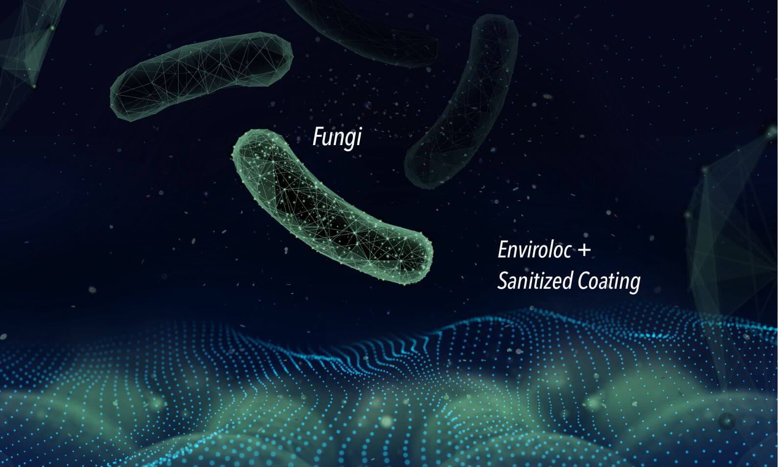 enviroloc+ fungi graphic