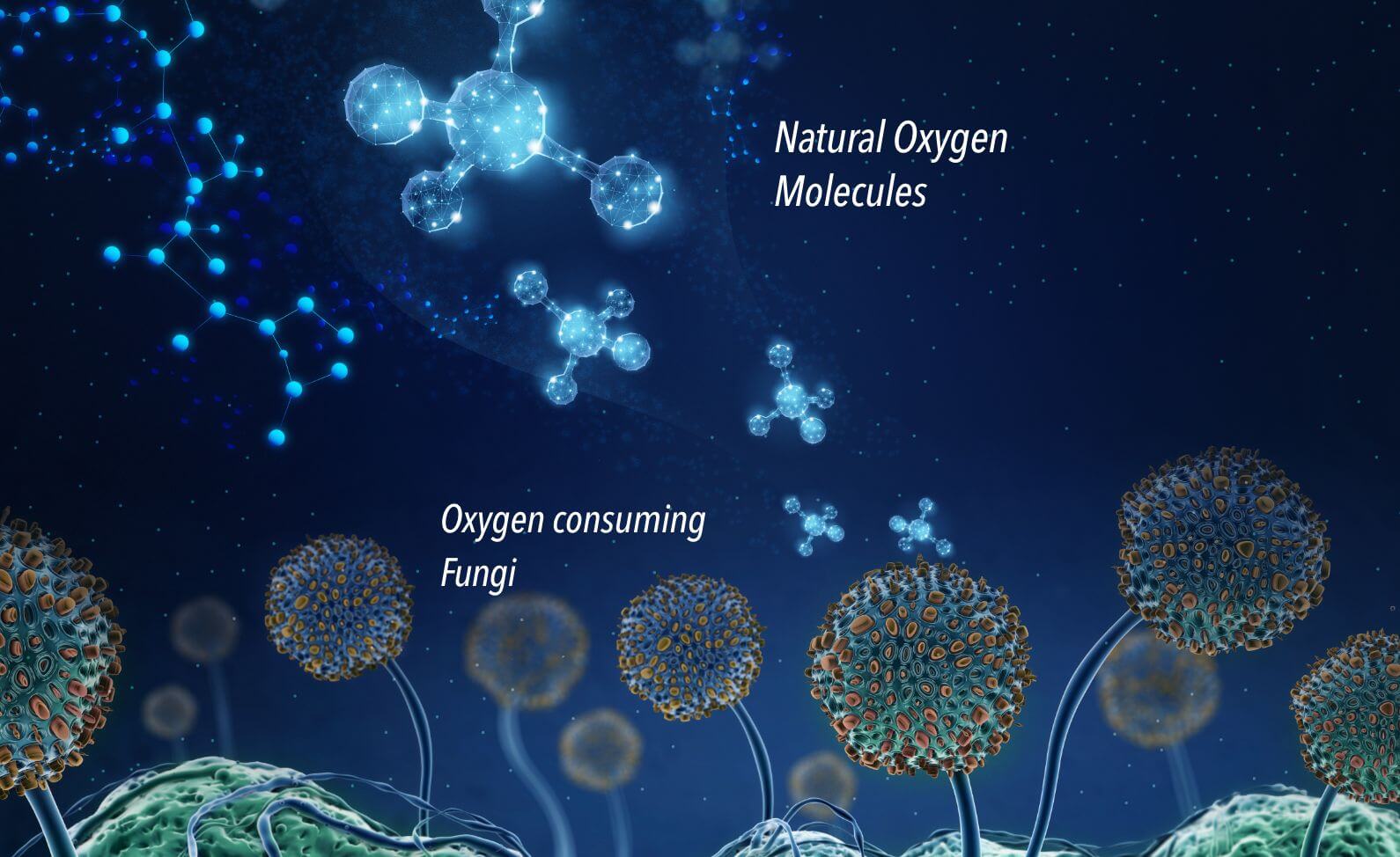 Enviroloc+ Oxygen molecule graphic