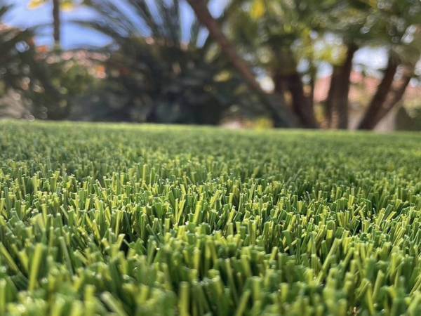 close up view of residenital artificial grass in Seattle