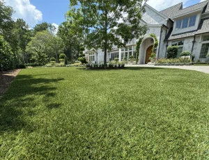 SYNLawn Seattle Artificial Turf lawn
