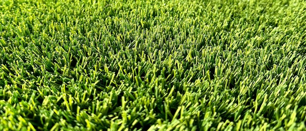 close up of synlawn seattle artificial turf