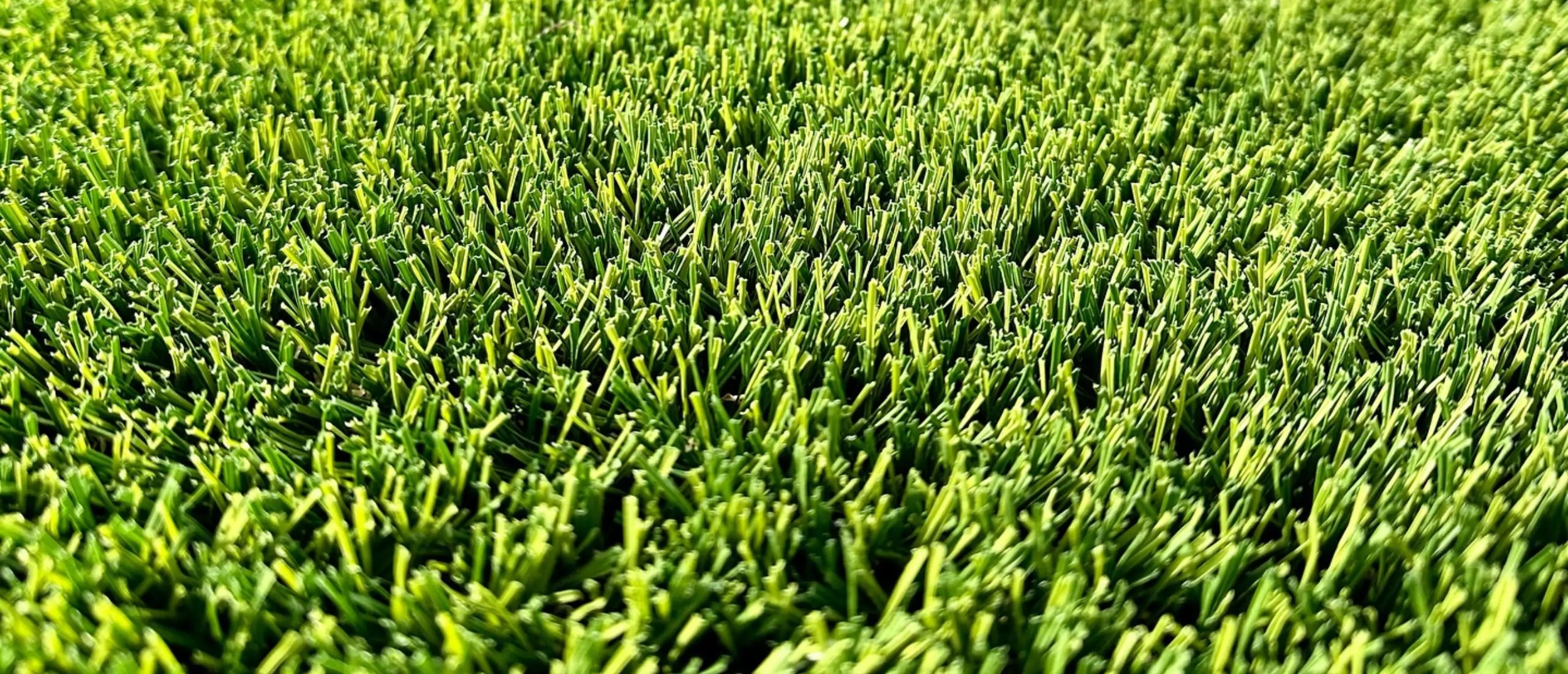 close up of synlawn seattle artificial turf